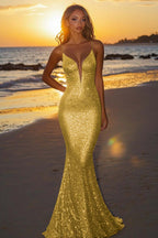 Abito da sera lungo argento con paillettes e scollo a V